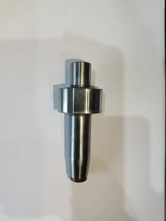 Wałek do Pompy BMW 1466C06025