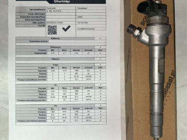 Naprawa wtrysku Bosch 0445110369 – Nysa